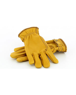 
                  
                    Kytone- Glove
                  
                